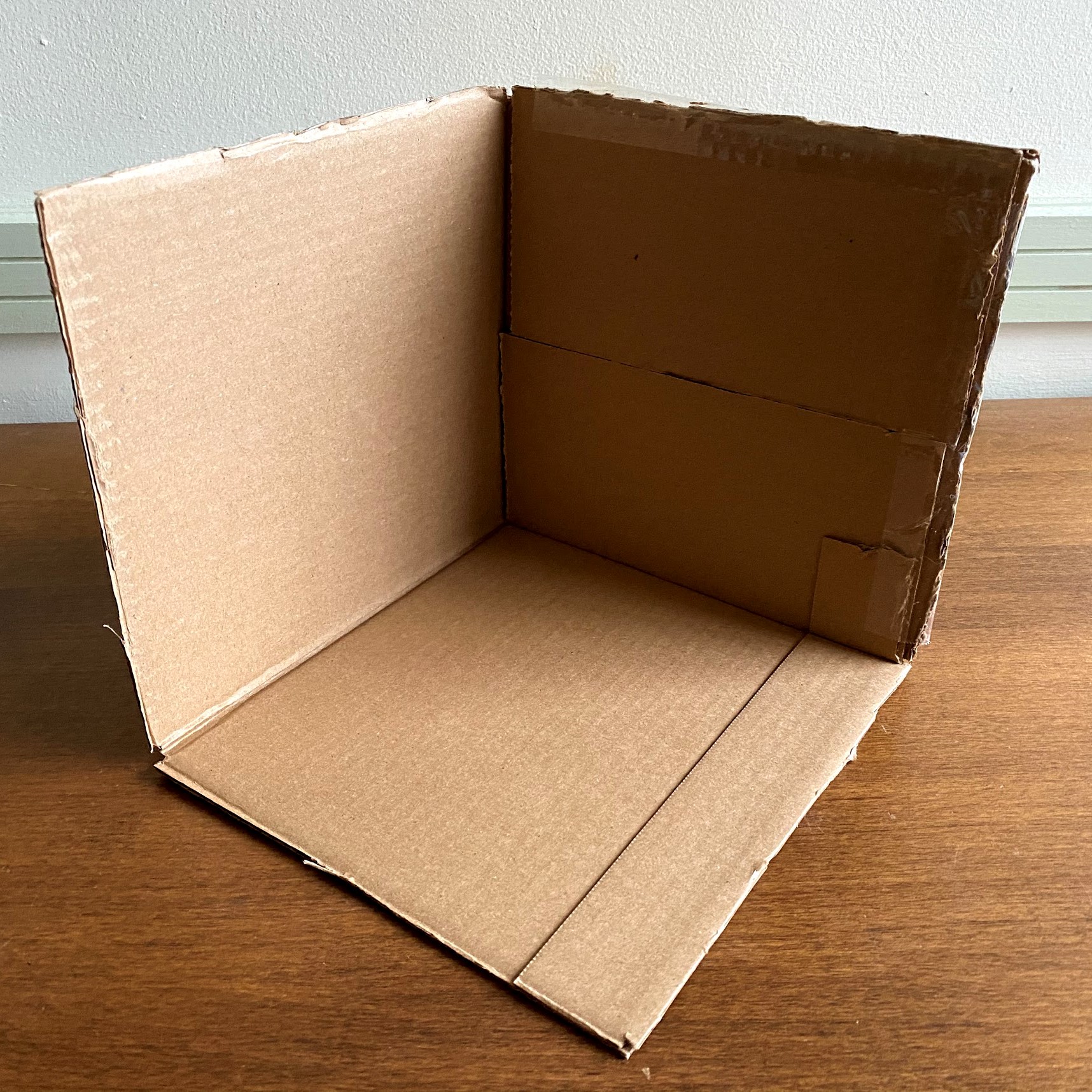 Cardboard Frame